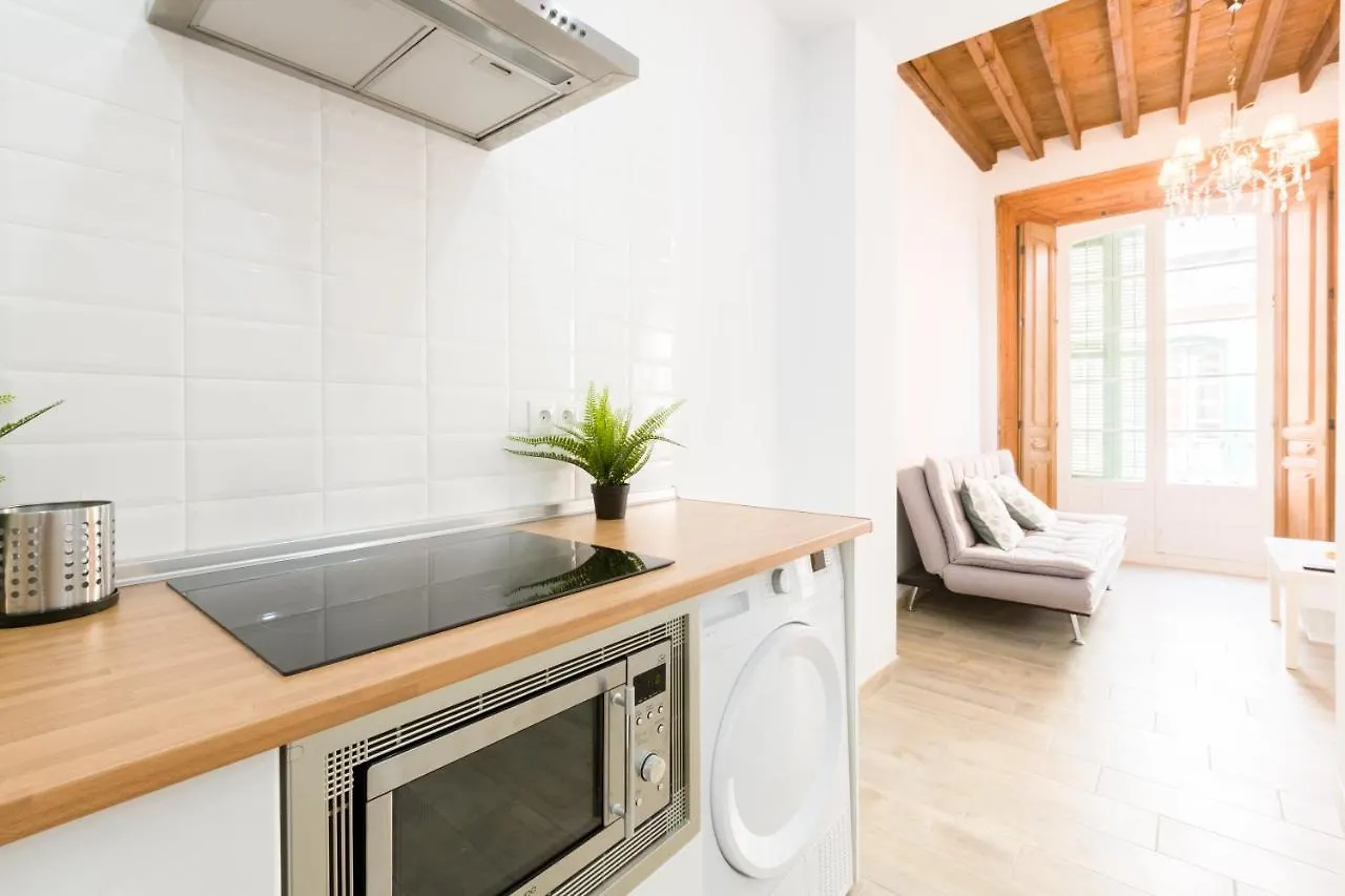 Renthas Carreteria 70 II Apartment Malaga